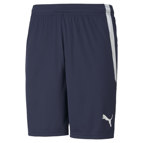 Puma teamLIGA Training Shorts – Peacoat